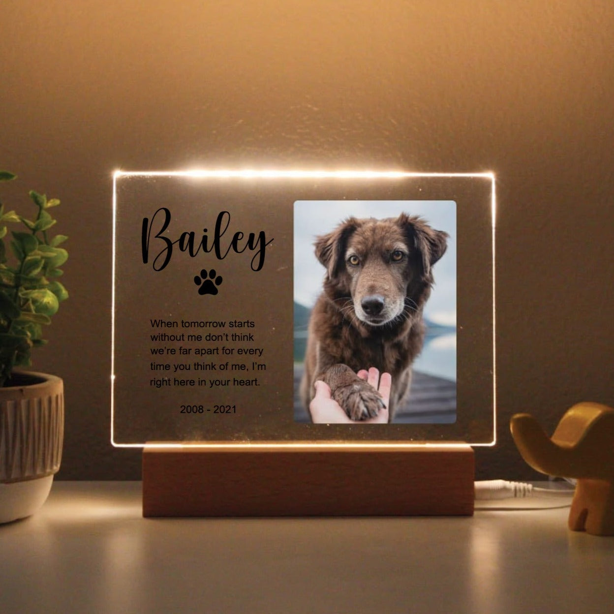 Pet Memorial Custom Photo LED Wooden Base, Pet Sympathy Gift, Personalized Gifts for Pet Loss 3_0089bcec-2511-482a-b678-c0d3221168b0.jpg