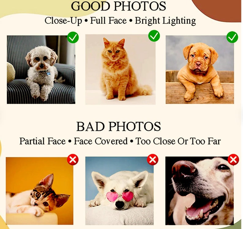 Dog Halloween Embroidered Sweatshirt, Custom Pet Portrait Hoodie, Halloween Dog Hoodie, Personalised Dog Gifts, Halloween Gifts For Girlfriend il_794xN.5385077155_3e56.jpg