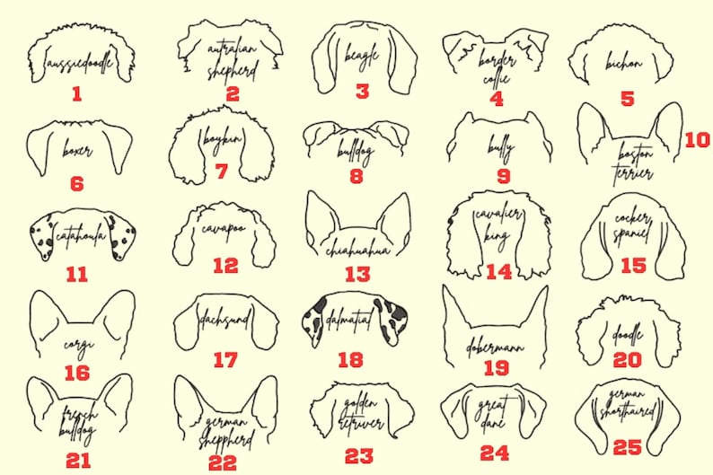 EMBROIDERED Dog Ears with Personalized Names il_794xN.5441008842_o8y1.jpg
