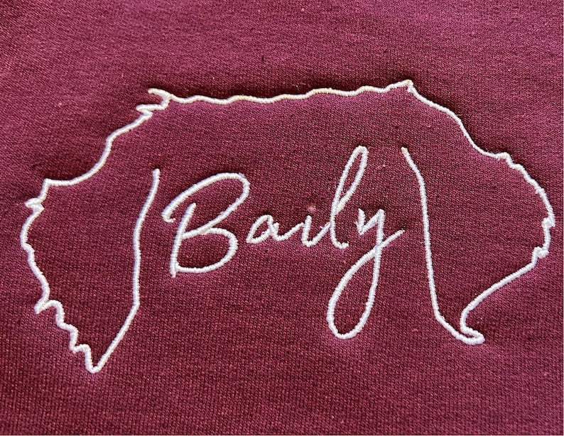 EMBROIDERED Dog Ears with Personalized Names il_794xN.5481121730_dfex.jpg