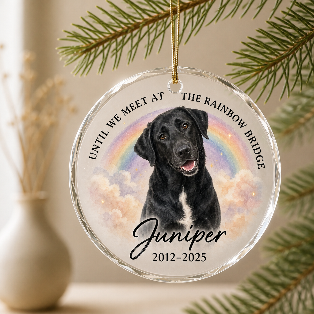 Until We Meet at the Rainbow Bridge – Personalized Photo Crystal Ornament – Memorial Gift mockup-product-6a86ae3d70849920009bbcba.png