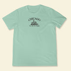 Embroidery Chicago The City In A Garden T-shirt 1688960857356.jpg