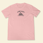 Embroidery Chicago The City In A Garden T-shirt 1688960857903.jpg