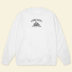 Embroidery Chicago The City In A Garden T-shirt 1688960857909.jpg