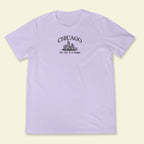 Embroidery Chicago The City In A Garden T-shirt 1688960857933.jpg
