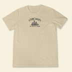 Embroidery Chicago The City In A Garden T-shirt 1688960857948.jpg