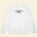 Embroidery Arkansas Hot Springs National Park T-shirt 1688983523208.jpg