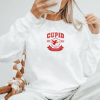 Cupid University   Embroidered Apparel   Funny Valentines Day Gift 1703818750361.jpg