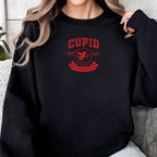 Cupid University   Embroidered Apparel   Funny Valentines Day Gift 1703818751747.jpg