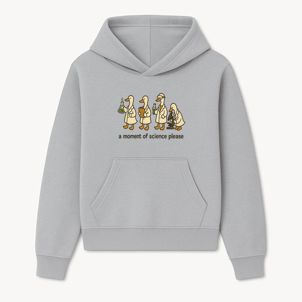 Funny Science Ducks Print - A Moment of Science Please - Cute Lab Ducks Illustration for Kids, Science Lovers, Home Decor - Hoodie 1758093376249.jpg