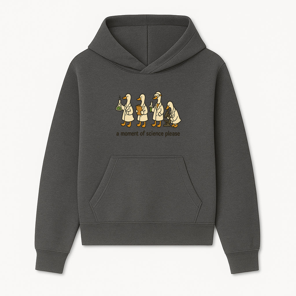 Funny Science Ducks Print - A Moment of Science Please - Cute Lab Ducks Illustration for Kids, Science Lovers, Home Decor - Hoodie 1758093376580.jpg