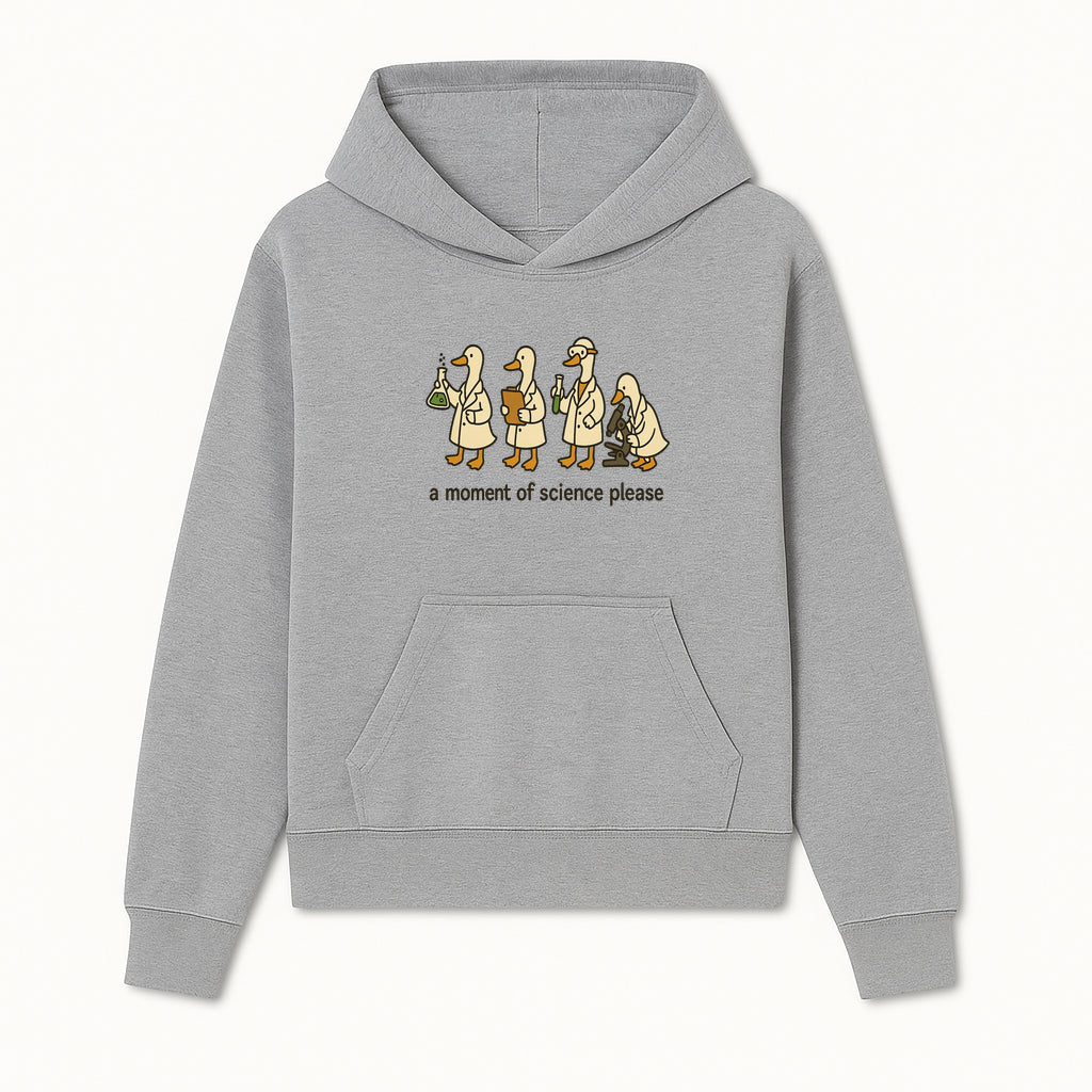 Funny Science Ducks Print - A Moment of Science Please - Cute Lab Ducks Illustration for Kids, Science Lovers, Home Decor - Hoodie 1758093376912.jpg
