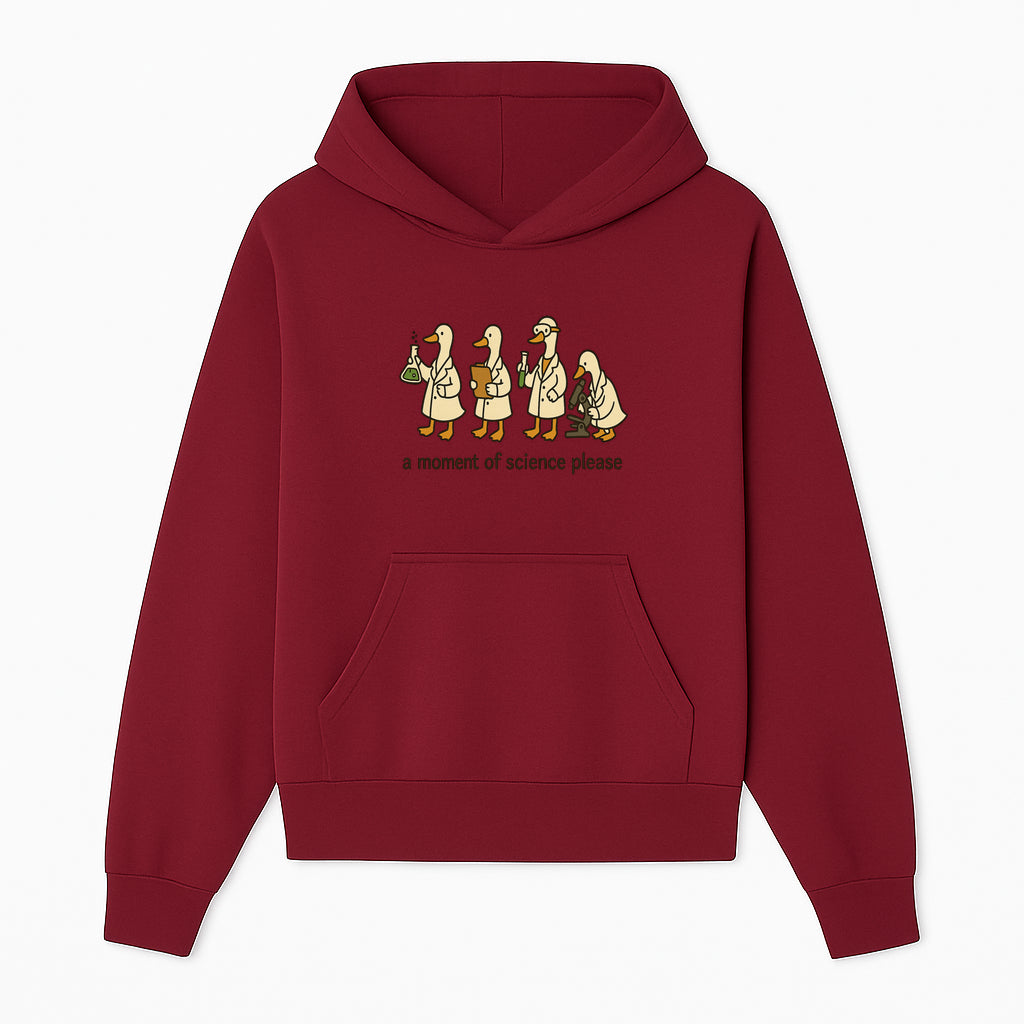 Funny Science Ducks Print - A Moment of Science Please - Cute Lab Ducks Illustration for Kids, Science Lovers, Home Decor - Hoodie 1758093377453.jpg