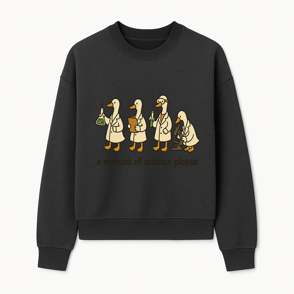 Funny Science Ducks Print - A Moment of Science Please - Cute Lab Ducks Illustration for Kids, Science Lovers, Home Decor - Sweatshirt 1758093383577.jpg