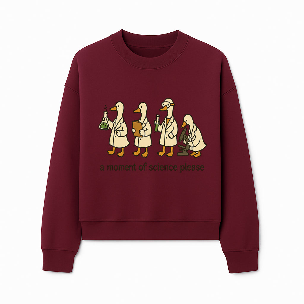 Funny Science Ducks Print - A Moment of Science Please - Cute Lab Ducks Illustration for Kids, Science Lovers, Home Decor - Sweatshirt 1758093384299.jpg