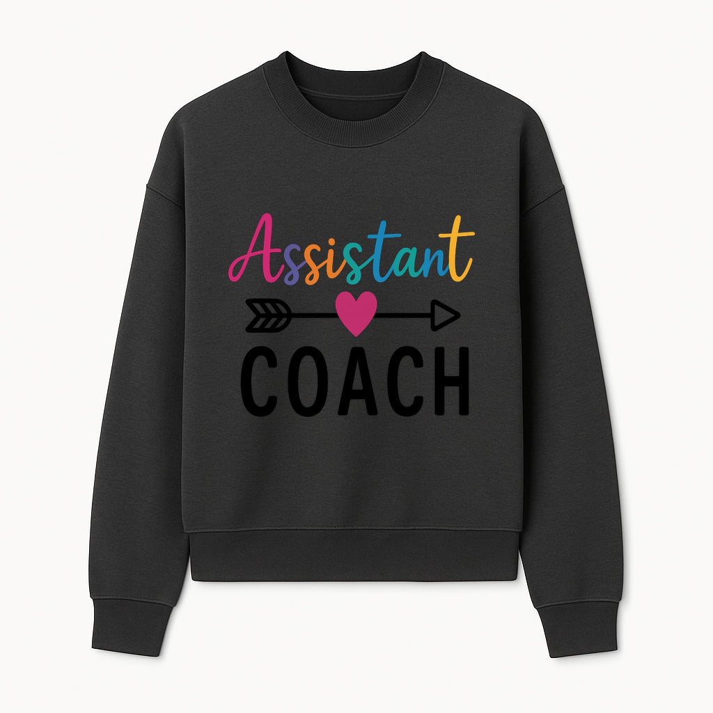 Colorful Assistant Coach Wall Art - Motivational Typography Decor for Coaches and Assistants - Inspirational Home or Office Decoration - Sweatshirt 1758186543151.jpg