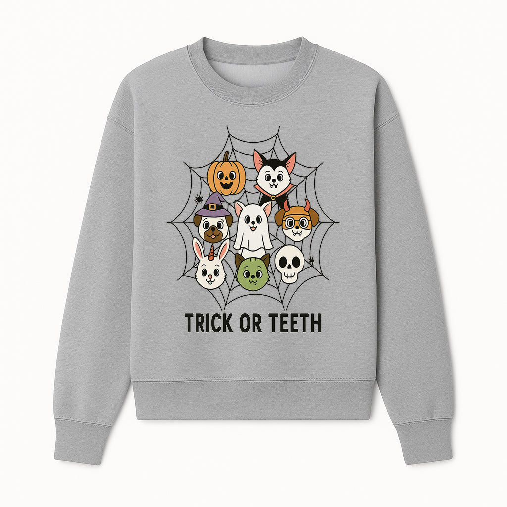 Cute Halloween Pet Characters in Spiderweb - Trick or Teeth Design for Kids' Apparel and Decor - Sweatshirt 1758250117725.jpg