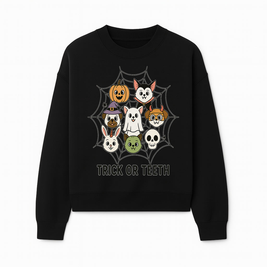 Cute Halloween Pet Characters in Spiderweb - Trick or Teeth Design for Kids' Apparel and Decor - Sweatshirt 1758250117905.jpg