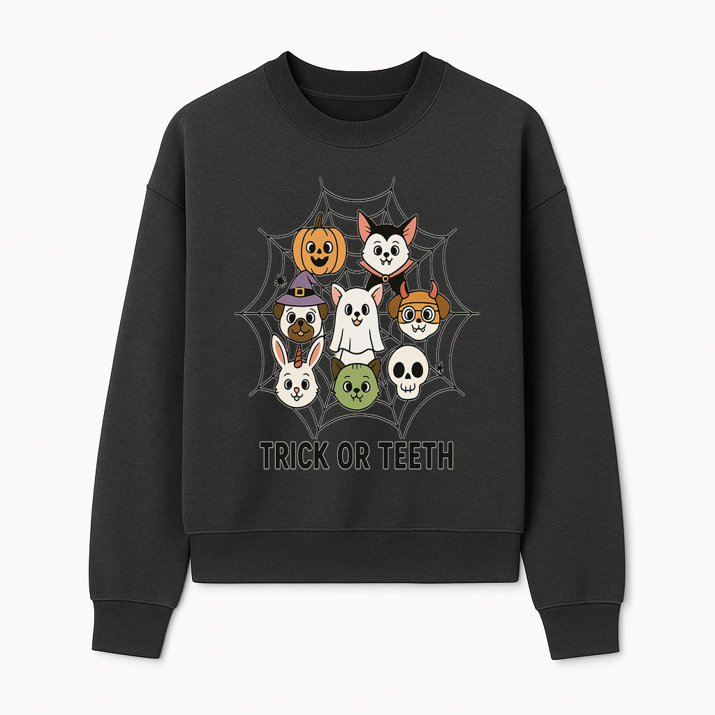 Cute Halloween Pet Characters in Spiderweb - Trick or Teeth Design for Kids' Apparel and Decor - Sweatshirt 1758250118041.jpg