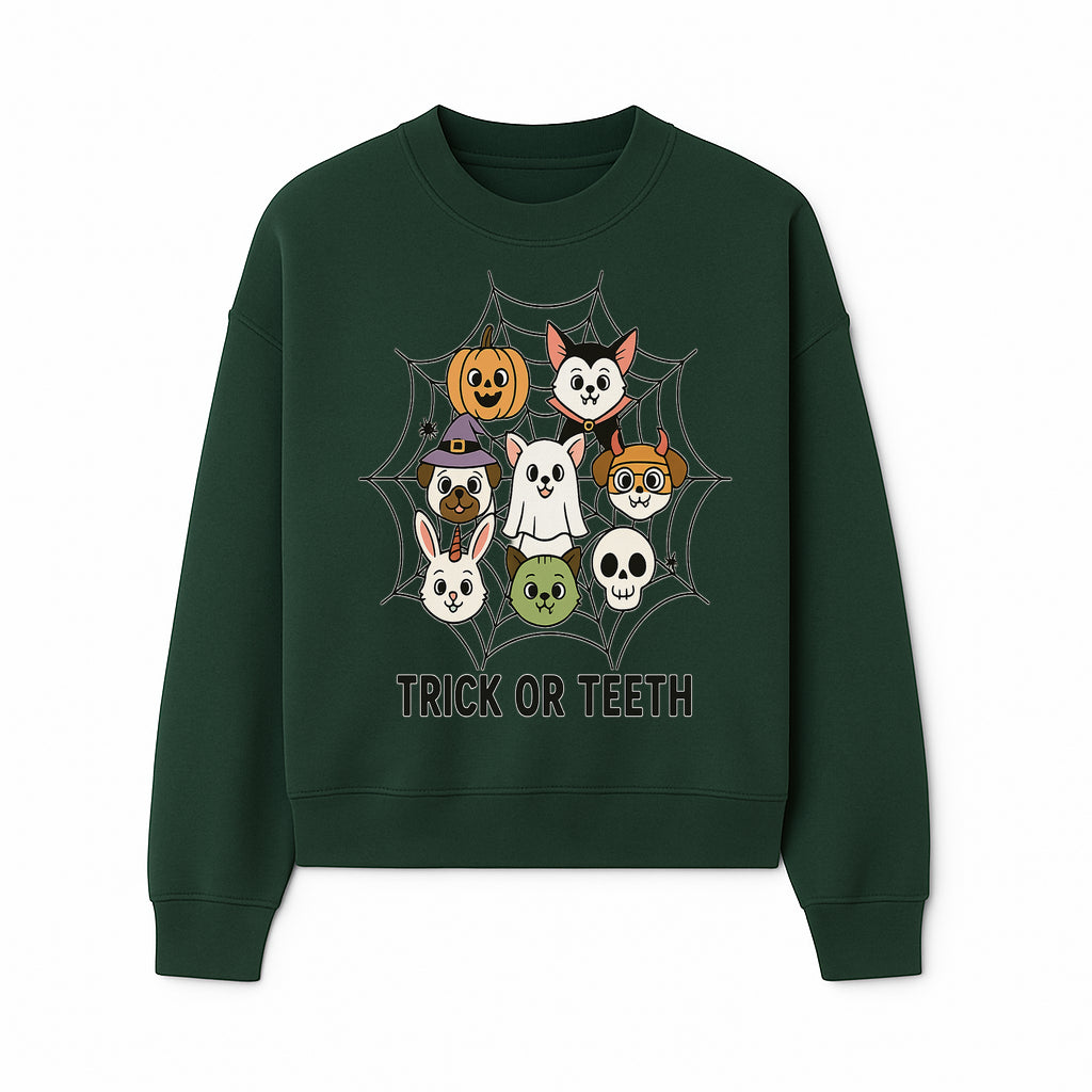 Cute Halloween Pet Characters in Spiderweb - Trick or Teeth Design for Kids' Apparel and Decor - Sweatshirt 1758250118196.jpg