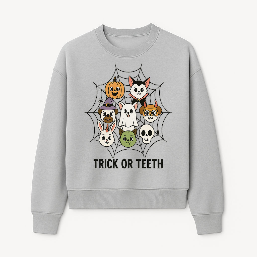 Cute Halloween Pet Characters in Spiderweb - Trick or Teeth Design for Kids' Apparel and Decor - Sweatshirt 1758250118351.jpg