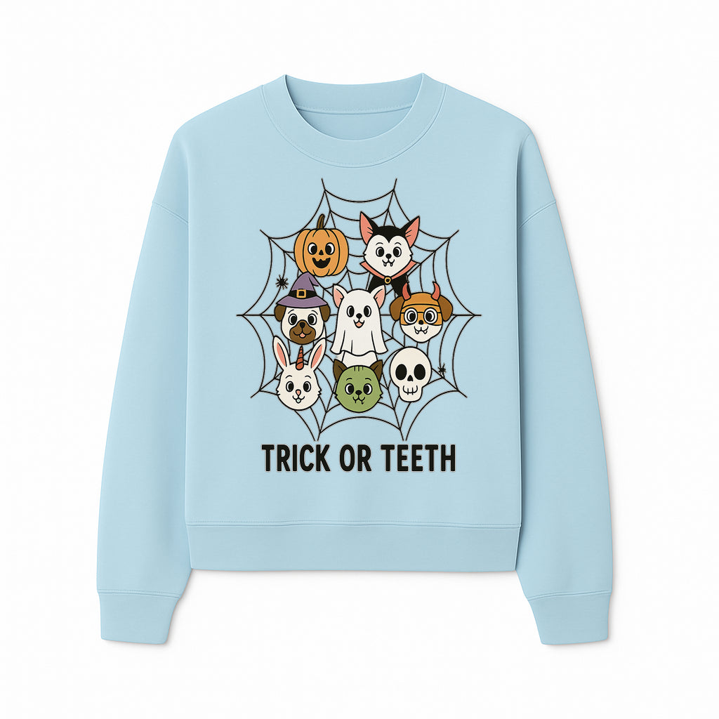 Cute Halloween Pet Characters in Spiderweb - Trick or Teeth Design for Kids' Apparel and Decor - Sweatshirt 1758250118513.jpg