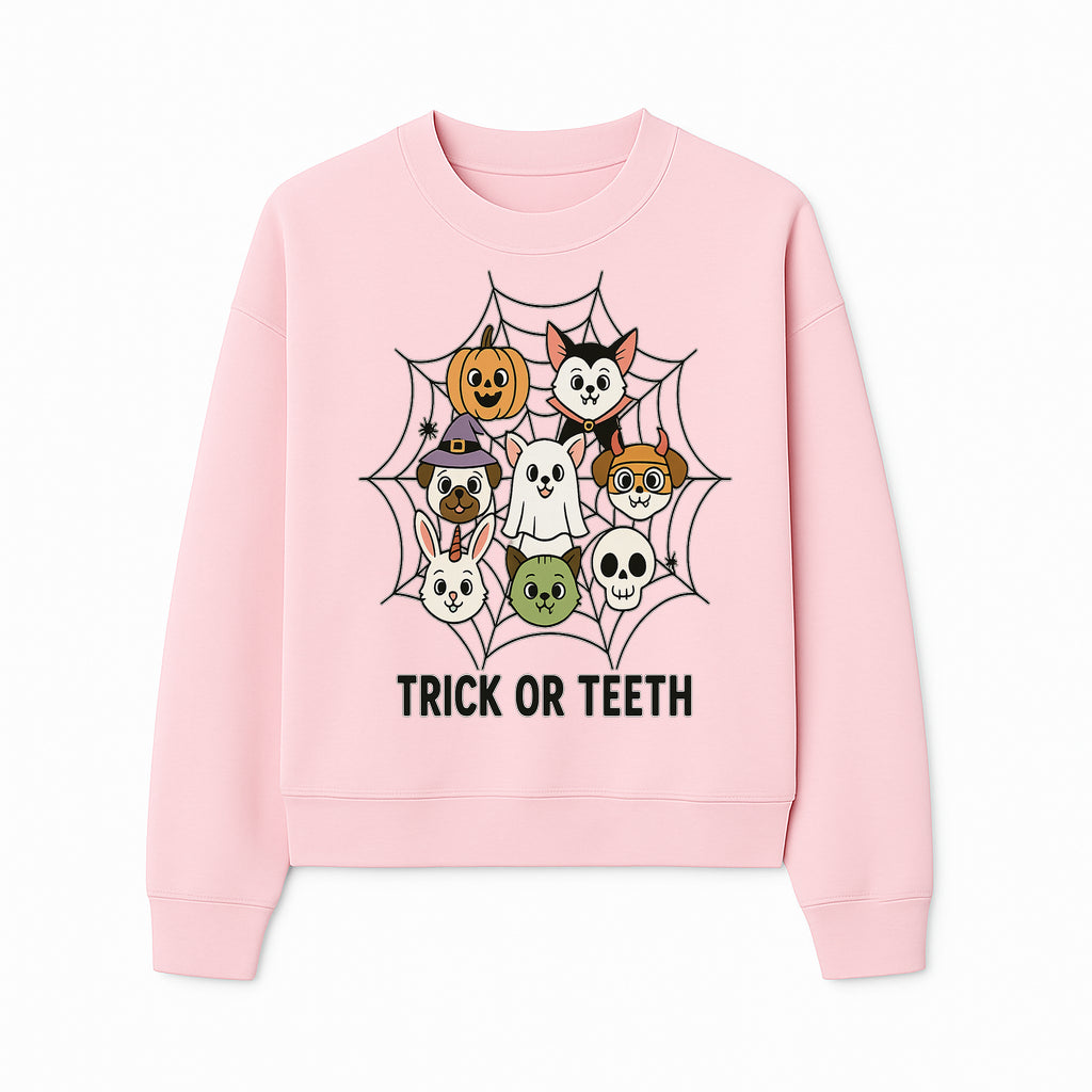 Cute Halloween Pet Characters in Spiderweb - Trick or Teeth Design for Kids' Apparel and Decor - Sweatshirt 1758250118640.jpg
