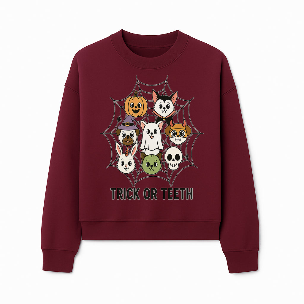 Cute Halloween Pet Characters in Spiderweb - Trick or Teeth Design for Kids' Apparel and Decor - Sweatshirt 1758250118765.jpg