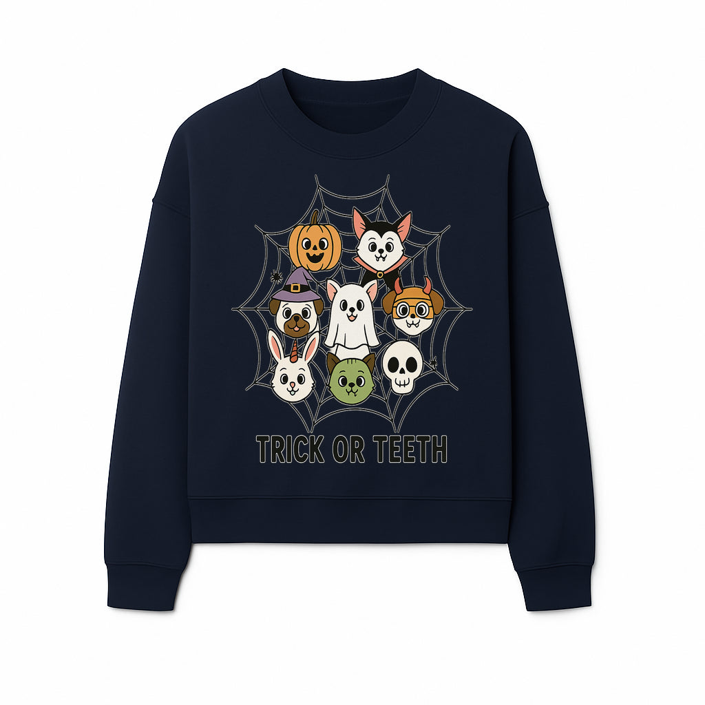 Cute Halloween Pet Characters in Spiderweb - Trick or Teeth Design for Kids' Apparel and Decor - Sweatshirt 1758250118903.jpg