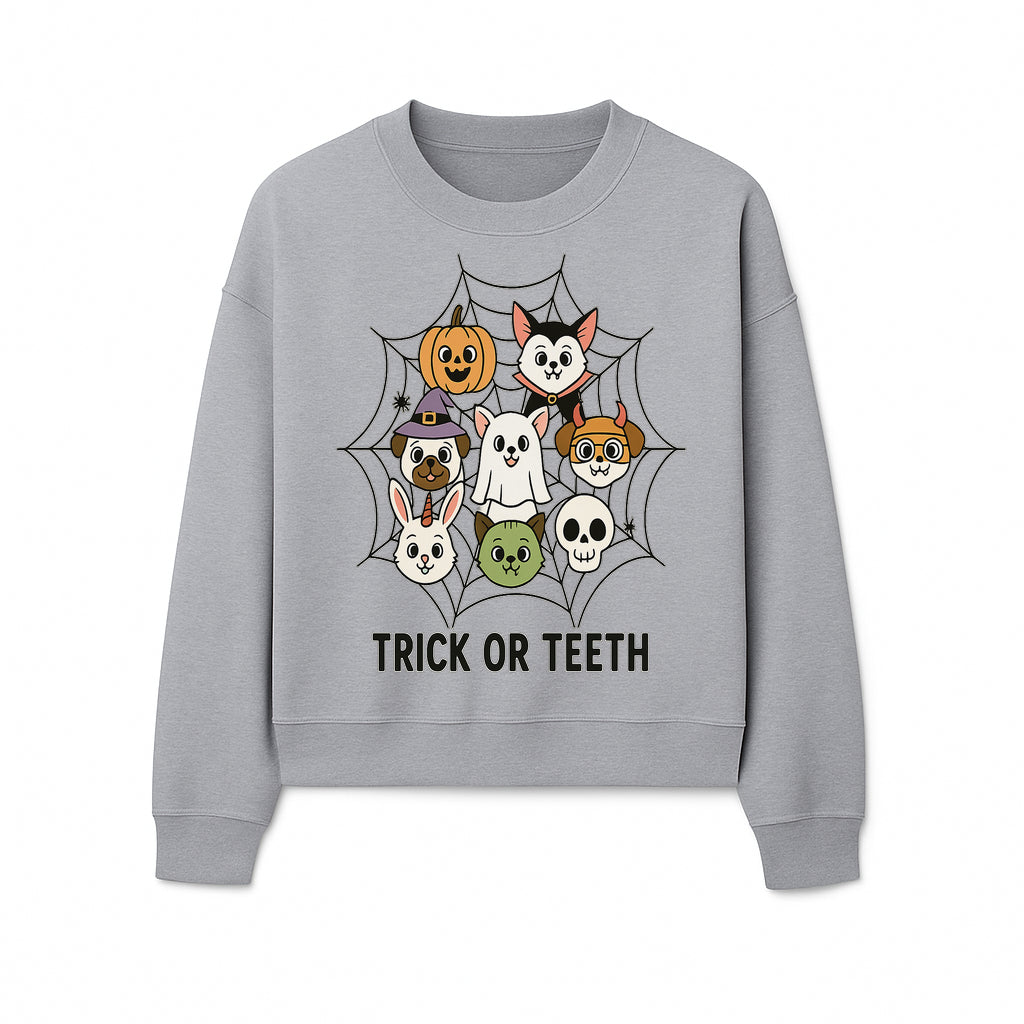 Cute Halloween Pet Characters in Spiderweb - Trick or Teeth Design for Kids' Apparel and Decor - Sweatshirt 1758250119214.jpg