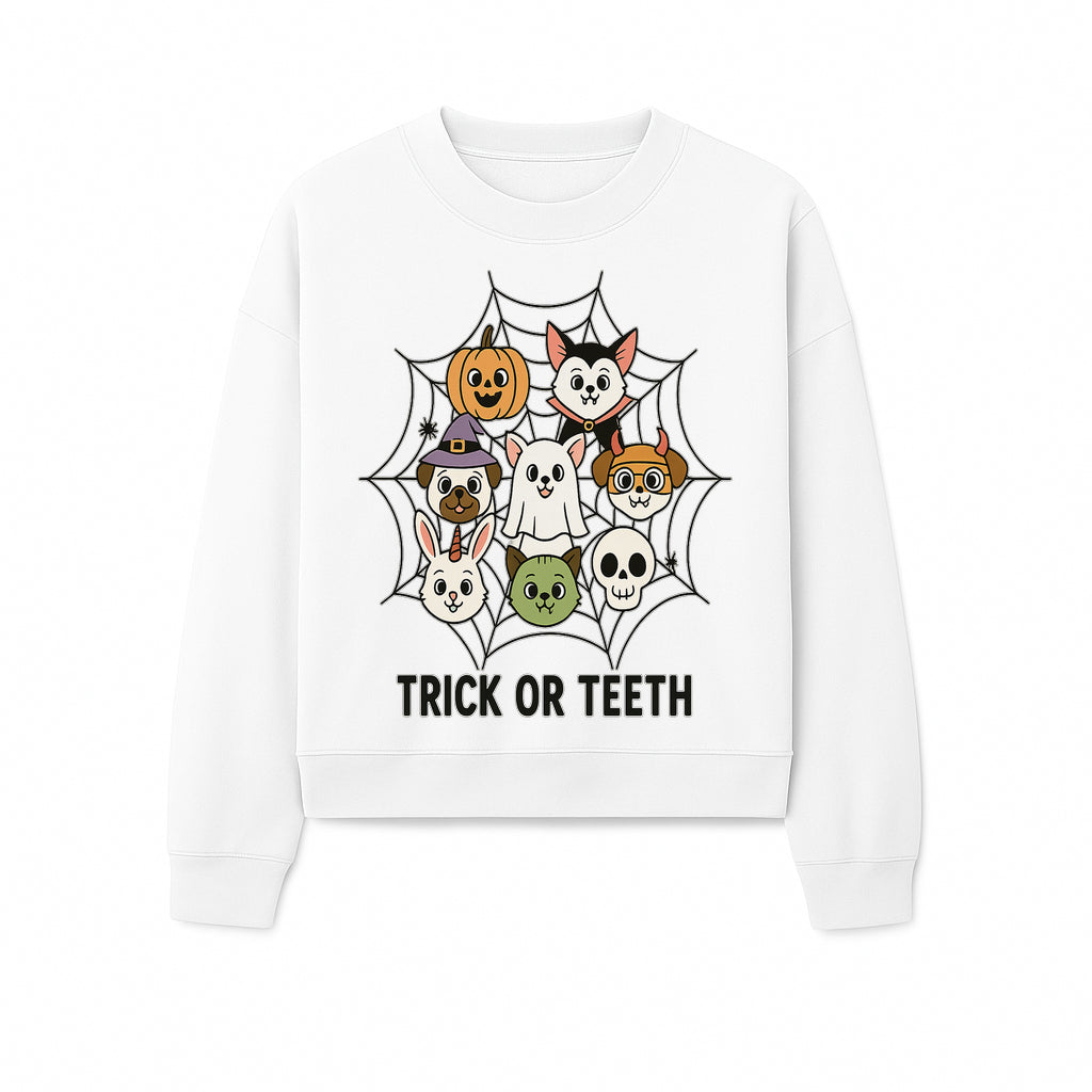 Cute Halloween Pet Characters in Spiderweb - Trick or Teeth Design for Kids' Apparel and Decor - Sweatshirt 1758250119377.jpg