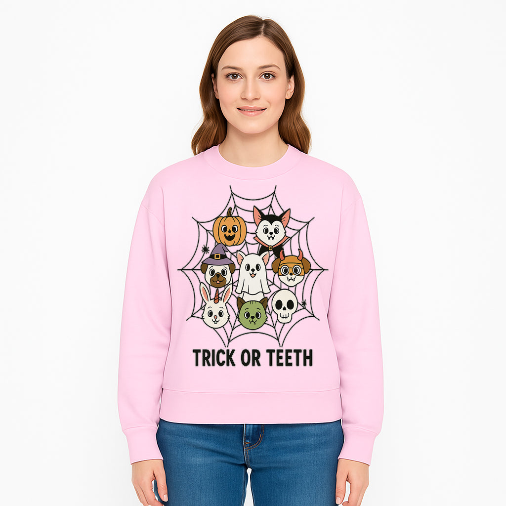 Cute Halloween Pet Characters in Spiderweb - Trick or Teeth Design for Kids' Apparel and Decor - Sweatshirt 1758250120623.jpg