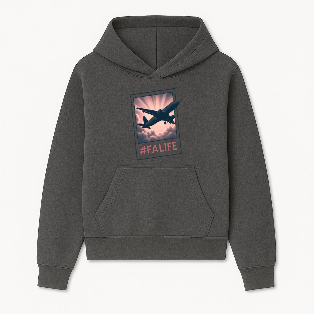 Adventure Awaits: FALIFE Airplane Art Print for Travel Enthusiasts, Wall Decor, and Aviation Lovers - Hoodie 1758254661594.jpg