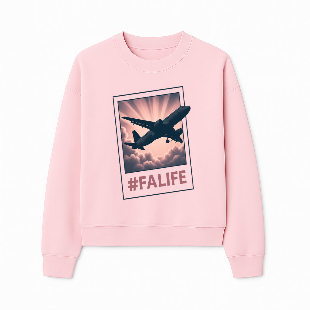 Adventure Awaits: FALIFE Airplane Art Print for Travel Enthusiasts, Wall Decor, and Aviation Lovers - Sweatshirt 1758254668480.jpg