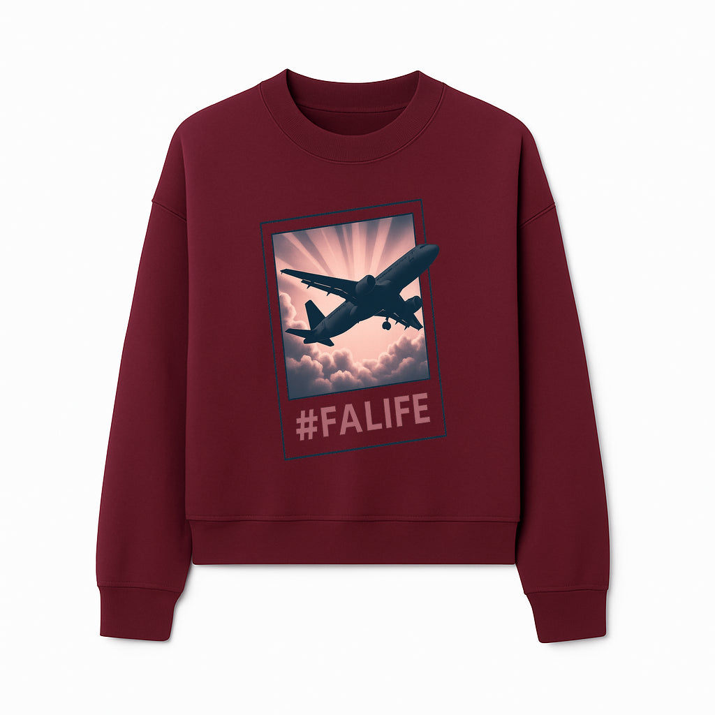 Adventure Awaits: FALIFE Airplane Art Print for Travel Enthusiasts, Wall Decor, and Aviation Lovers - Sweatshirt 1758254668663.jpg