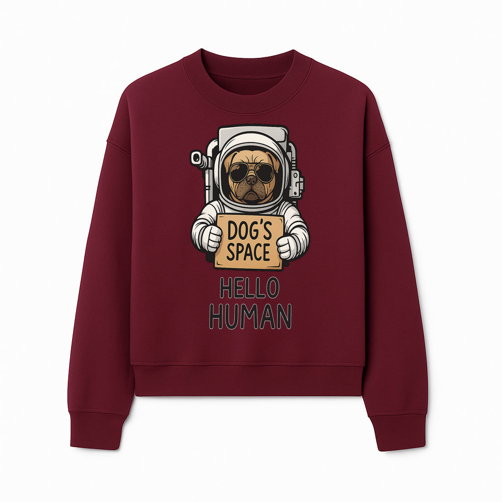 Astronaut Dog's Space Hello Human T-Shirt | Cute Dog Lover Graphic Tee | Unique Gift for Pet Owners | Fun Space-Themed Apparel - Sweatshirt 1758273117149.jpg