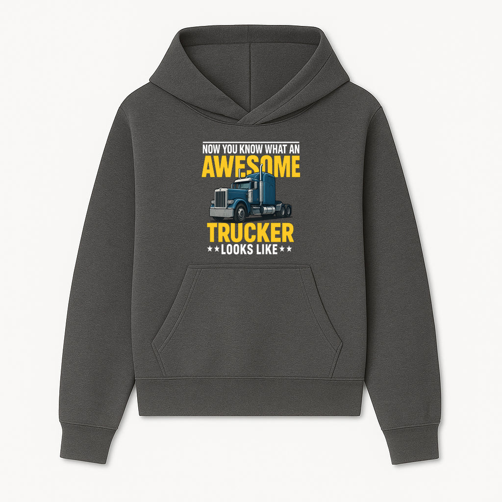 Awesome Trucker Graphic Tee | Perfect Gift for Truck Drivers | Fun Trucking Apparel | Bold Statement Shirt for Truck Lovers - Hoodie 1758556413615.jpg