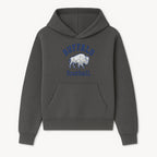Buffalo Football Graphic T-Shirt, Geometric Bison Design, Sport Team Apparel, Casual Wear, Gift for Fans, Blue and White Themes - Hoodie 1758559975977.jpg