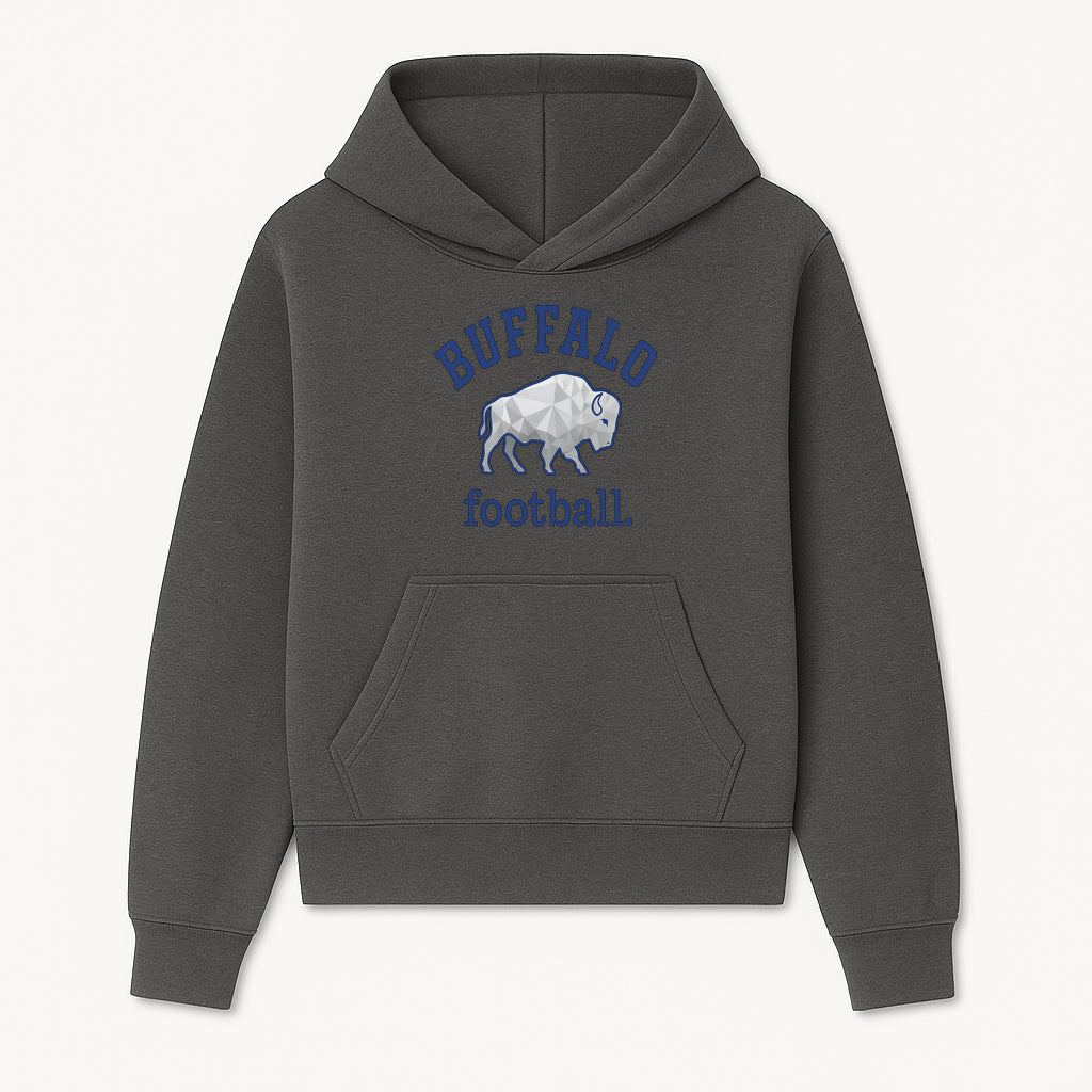 Buffalo Football Graphic T-Shirt, Geometric Bison Design, Sport Team Apparel, Casual Wear, Gift for Fans, Blue and White Themes - Hoodie 1758559975977.jpg