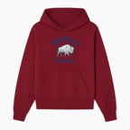 Buffalo Football Graphic T-Shirt, Geometric Bison Design, Sport Team Apparel, Casual Wear, Gift for Fans, Blue and White Themes - Hoodie 1758559976696.jpg