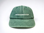 Overstimulated Embroidered Low Profile Baseball Dad Cap By Vivian Flytrap 1759378806497.png