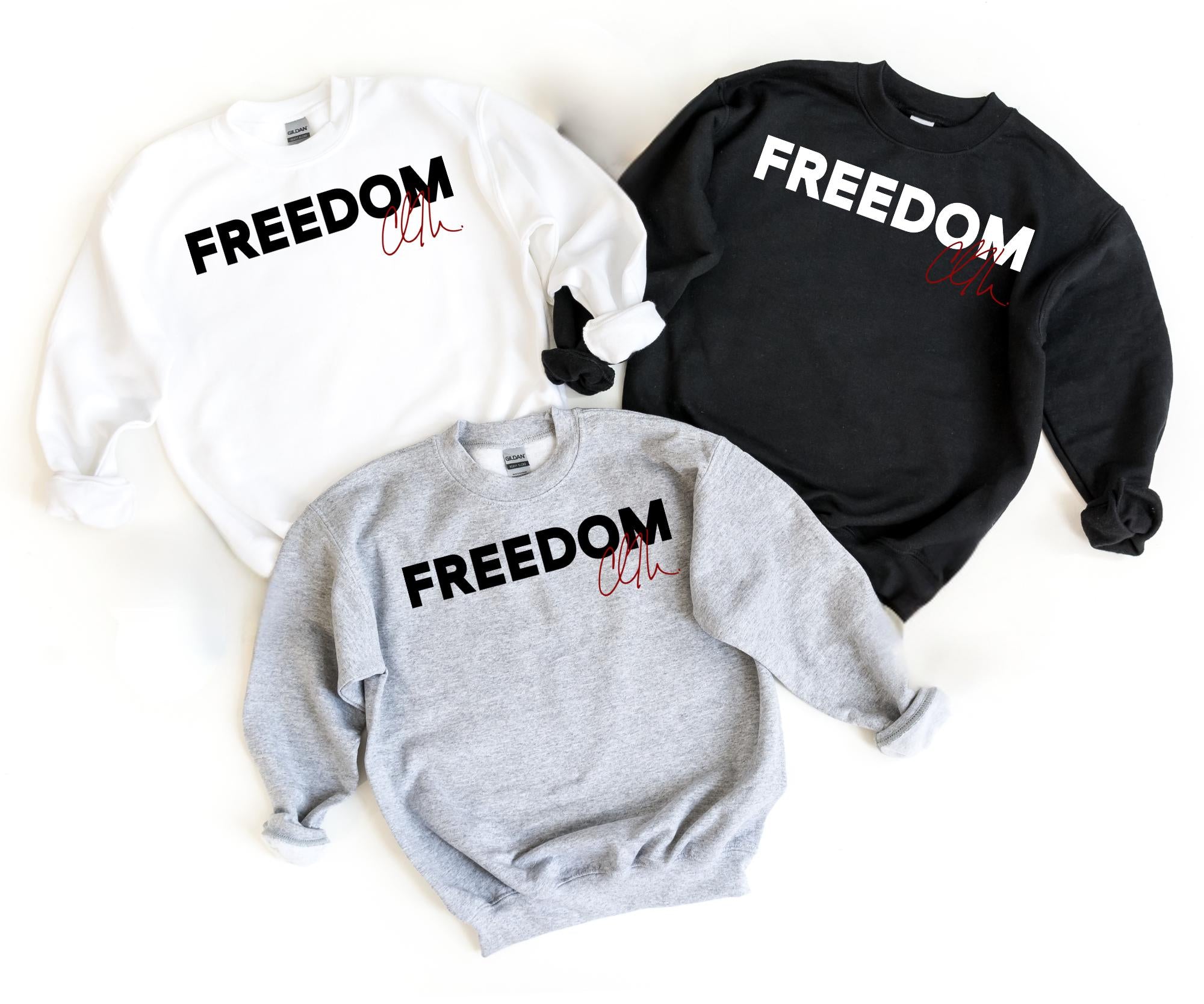 Charlie Kirk Freedom Shirt Charlie Kirk Shirt Charlie Kirk Freedom T Shirt Charlie Kirk Sweatshirt Freedom Charlie Kirk Shirt 1760347966654.jpg