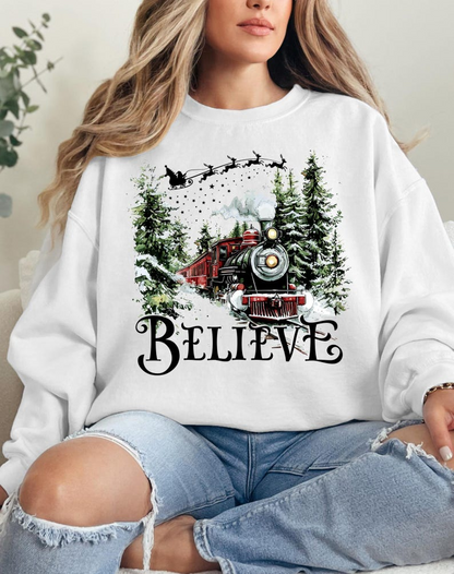 Polar Express Sweatshirt Christmas Gift Christmas Believe Sweater Merry Christmas Gift Ideas All Aboard Polar Express Hoodie Xmas 1760502303893.png