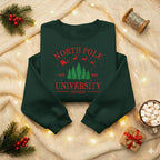 North Pole University Embroidered Sweatshirt Christmas College Style Sweater Santa Reindeer Embroidery Hoodie Cozy Holiday Gift 1763454084896.jpg