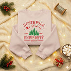 North Pole University Embroidered Sweatshirt Christmas College Style Sweater Santa Reindeer Embroidery Hoodie Cozy Holiday Gift 1763454085541.jpg