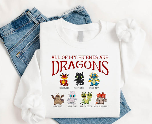 All My Friends Are Dragons Shirt Toothless And Light Fury Kids Sweatshirt Dragon Cartoon Shirt How To Train Your Dragon Inspired T Shirt 1764318192031.jpg
