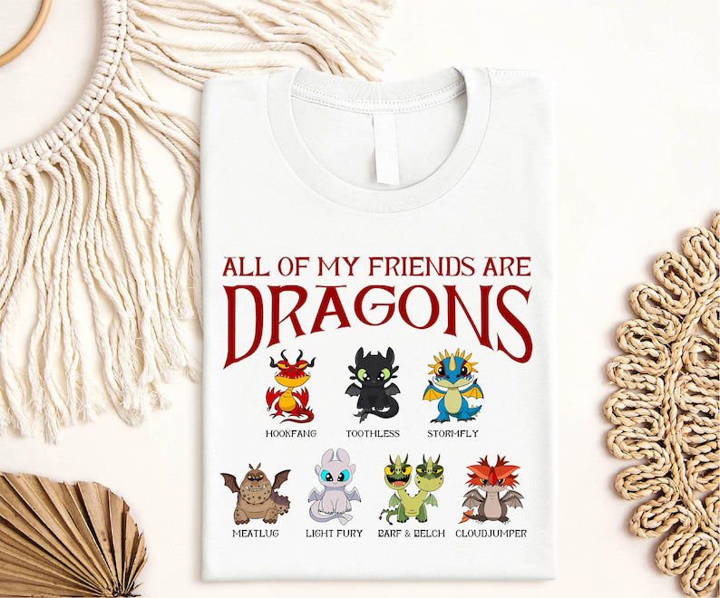 All My Friends Are Dragons Shirt Toothless And Light Fury Kids Sweatshirt Dragon Cartoon Shirt How To Train Your Dragon Inspired T Shirt 1764318192690.jpg