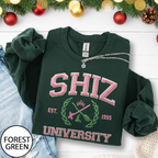 Embroidered Shiz University Sweatshirt Changed For Good Wicked Embroidery Sweater Wizard Musical Sweater Defy Gravity Embroidered Gifts 1764817453969.png