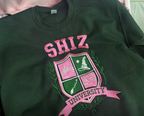 Shiz University Embroidered Sweatshir Embroidered Sweatshirt Emerald City Oz Crewneck Defy Gravity Broomstick Magic Wand Sweatshirt Gift 1764818310924.png