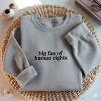 Embroidered Big Fan Of Human Rights Sweatshirt Minimalist Feminist Embroidered Crewneck Equality Social Justice Shirt Activism Gift Shirt 1765177145059.png